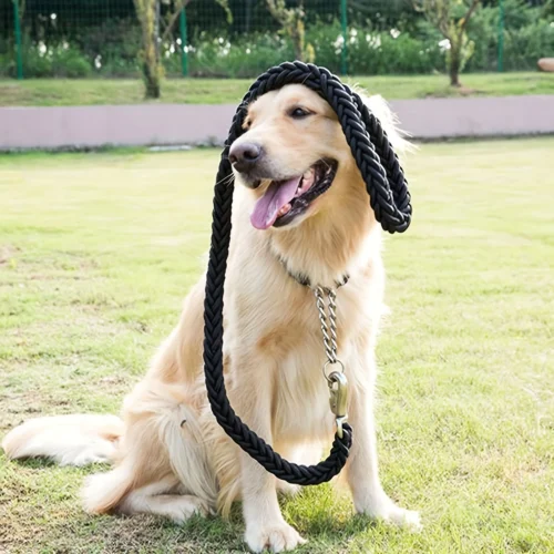 1pc Dog Collar And Leash Set