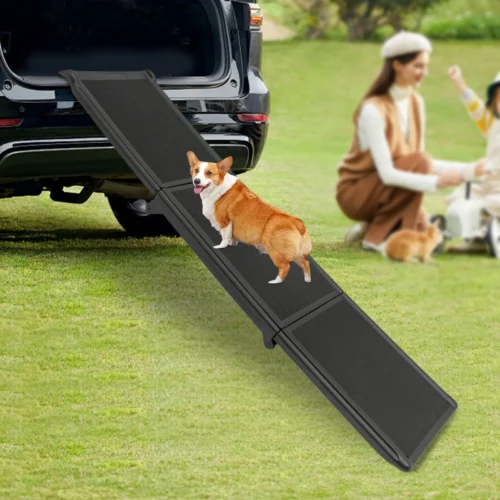 Travel Lite Ramps Folding Ladder