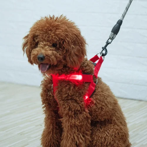 Stylish LED Electronic Pet Harness