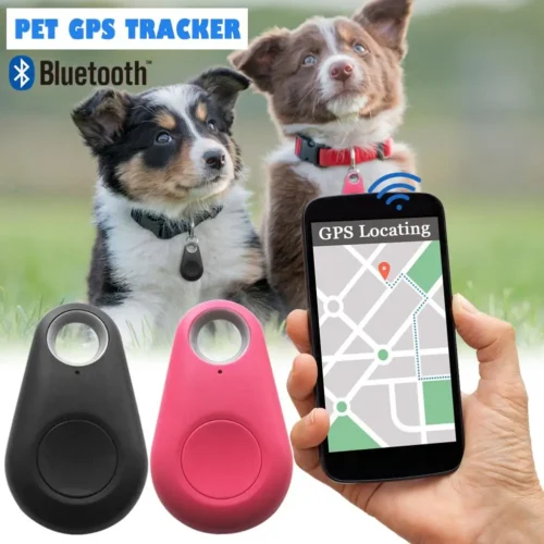 GPS Pet Collar
