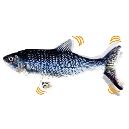Interactive Electric Floppy Fish