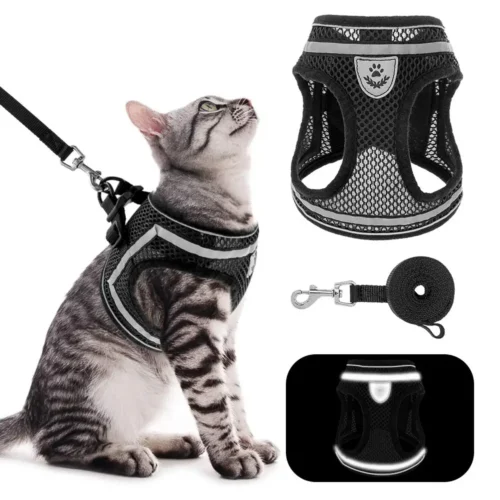 Secure Breathable Mesh Adjustable Harness and Leash