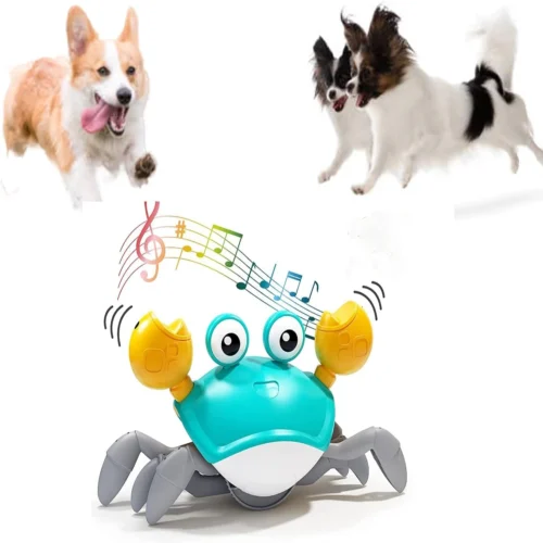 Dancing Crab Dog Toy with Musical Sounds